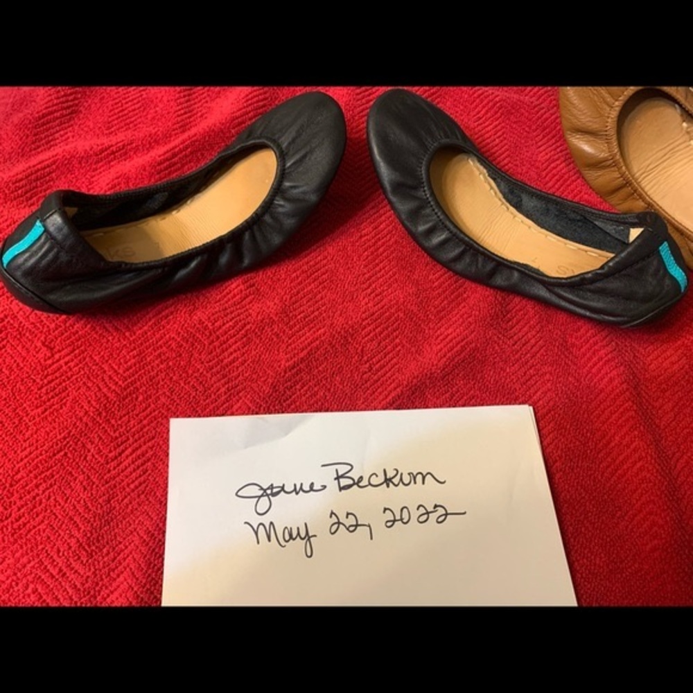 Chestnut- excellent condition